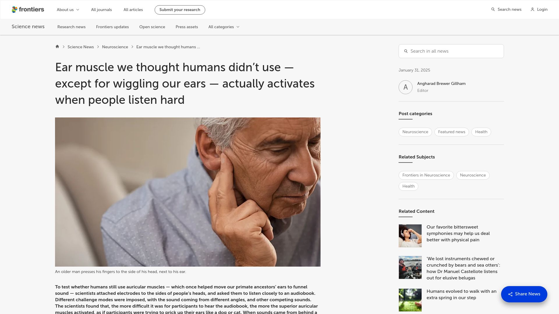 Screenshot of frontiersin.org: Ear muscle we thought humans didn't use activates when people listen hard