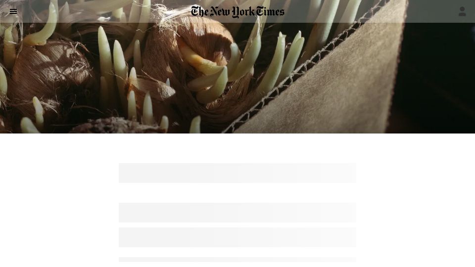 Screenshot of nytimes.com: How saffron became an American cash crop