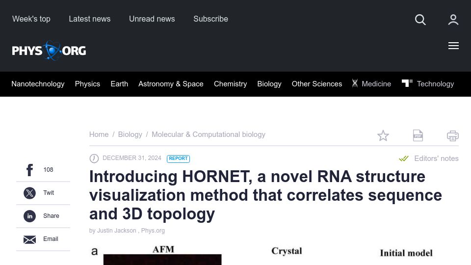 Screenshot of phys.org: Hornet, RNA structure visualization method correlates sequence and 3D topology