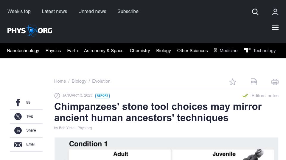 Screenshot of phys.org: Chimpanzees' stone tool choices may mirror ancient human ancestors' techniques
