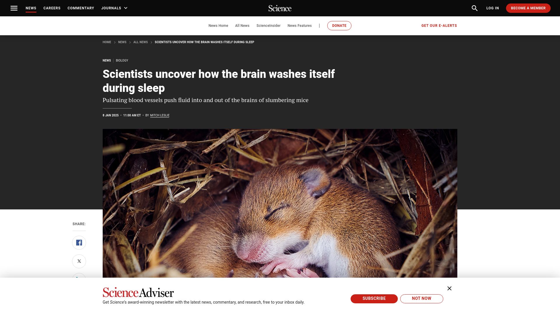 Screenshot of science.org: Scientists uncover how the brain washes itself during sleep