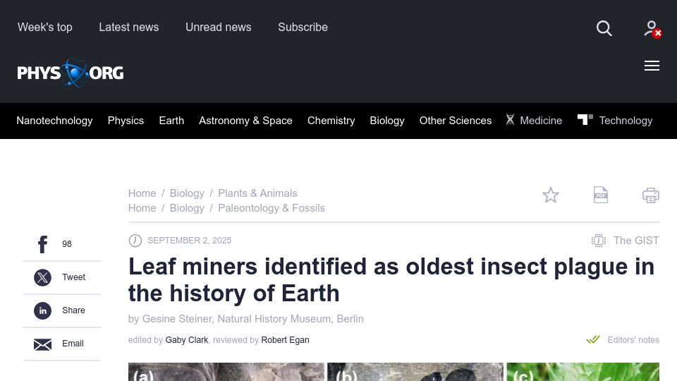Screenshot of phys.org: Leaf miners identified as oldest insect plague in the history of Earth