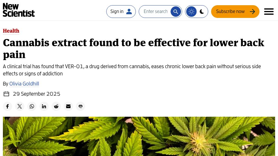 Screenshot of newscientist.com: Cannabis extract found to be effective for lower back pain