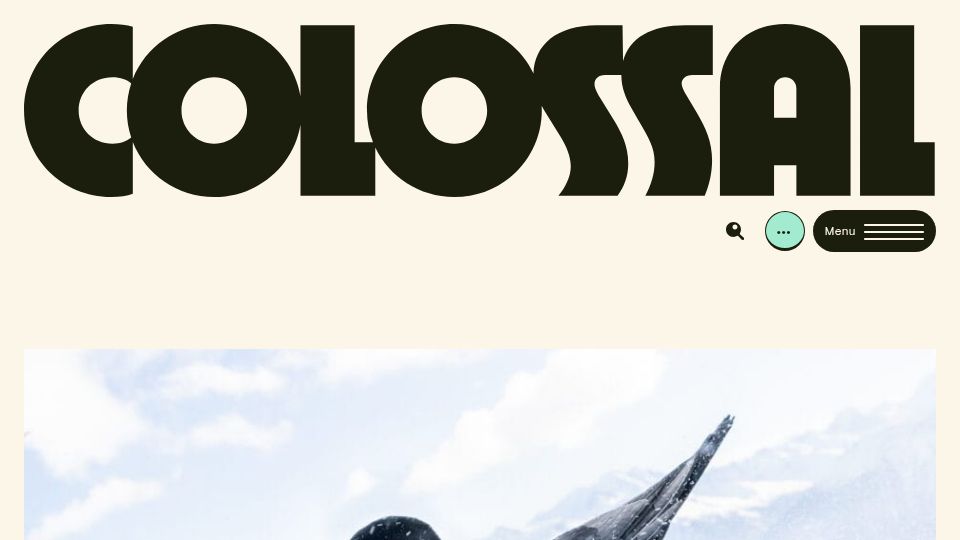 Screenshot of thisiscolossal.com: Bird photographer of the year gives a lesson in planning and patience