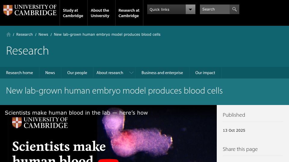 Screenshot of cam.ac.uk: New lab-grown human embryo model produces blood cells