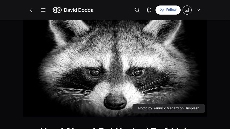 Screenshot of blog.daviddodda.com: I almost got hacked by a 'job interview'