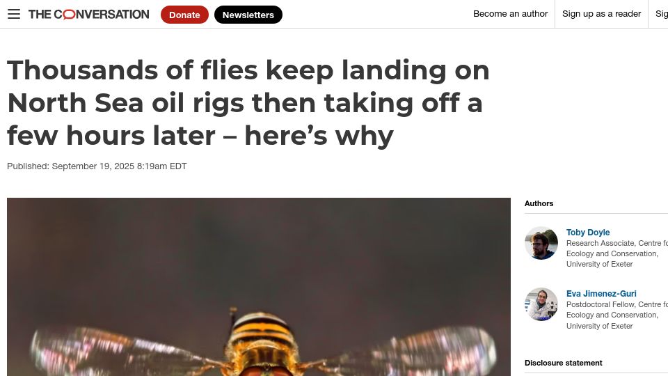 Screenshot of theconversation.com: Flies keep landing on North Sea oil rigs