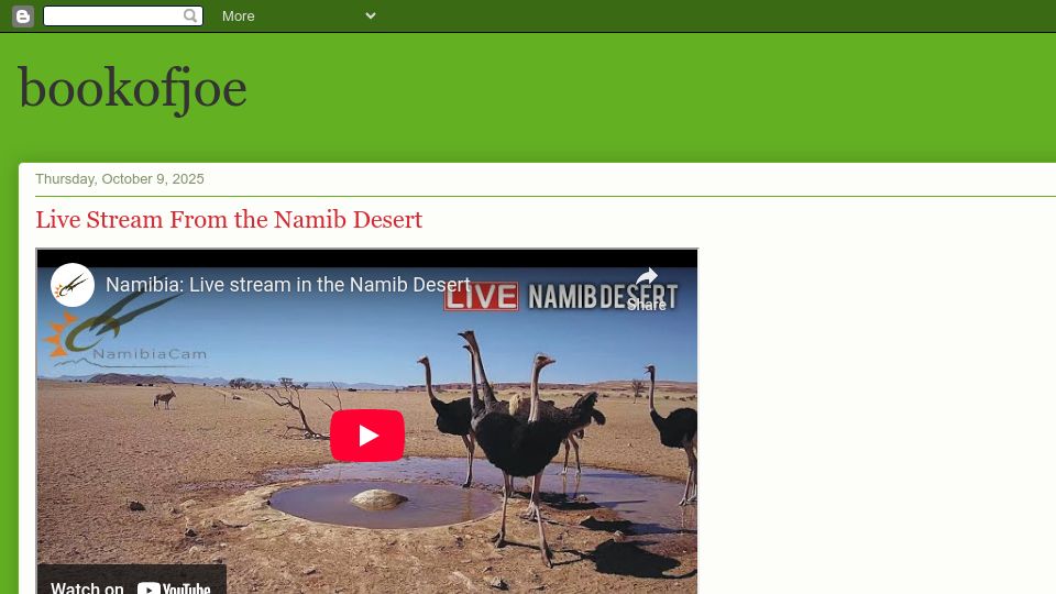 Screenshot of bookofjoe2.blogspot.com: Live Stream from the Namib Desert