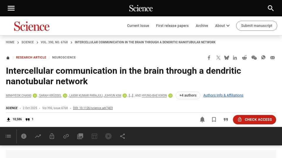 Screenshot of science.org: Intercellular communication in the brain through a dendritic nanotubular network