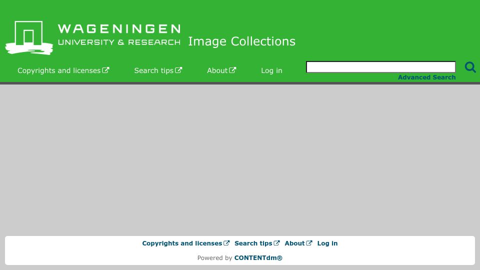 Screenshot of images.wur.nl: Root System Drawings