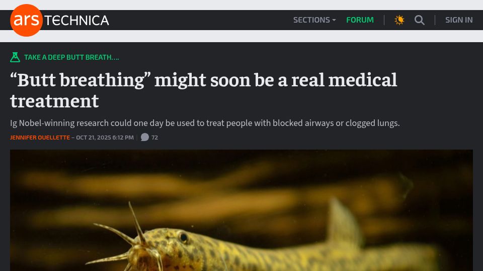 Screenshot of arstechnica.com: Rectal oxygen delivery might soon be a real medical treatment