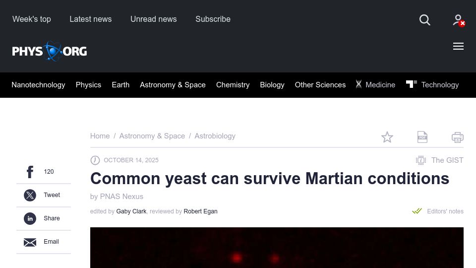 Screenshot of phys.org: Common yeast can survive Martian conditions