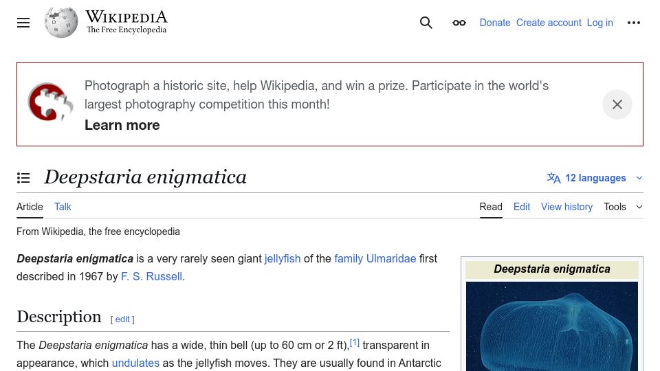 Screenshot of en.wikipedia.org: Deepstaria Enigmatica