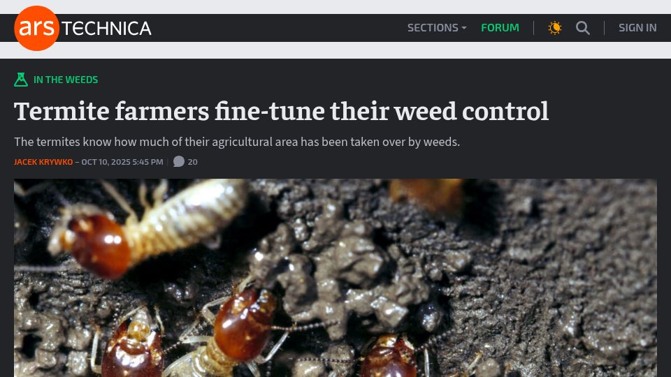 Screenshot of arstechnica.com: Termite farmers fine-tune their weed control