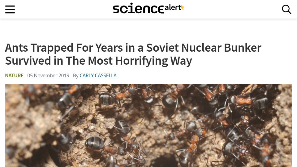 Screenshot of sciencealert.com: Ants trapped in a Soviet nuclear bunker survived for years