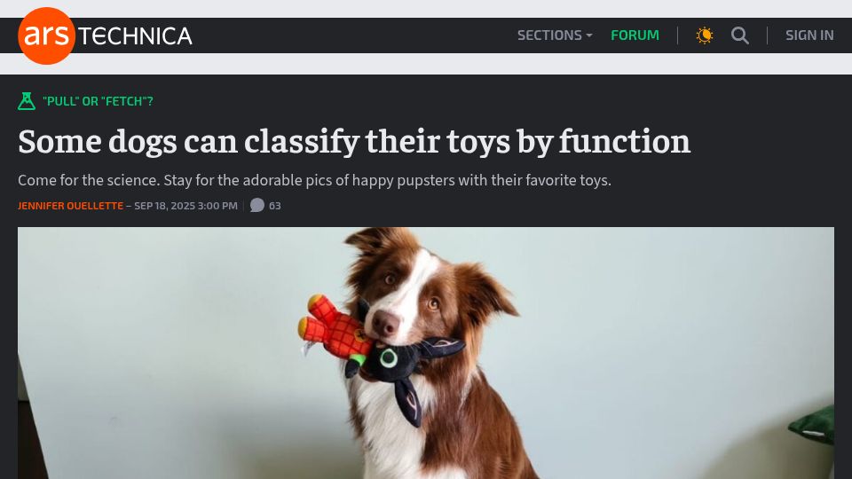 Screenshot of arstechnica.com: Some dogs can classify their toys by function