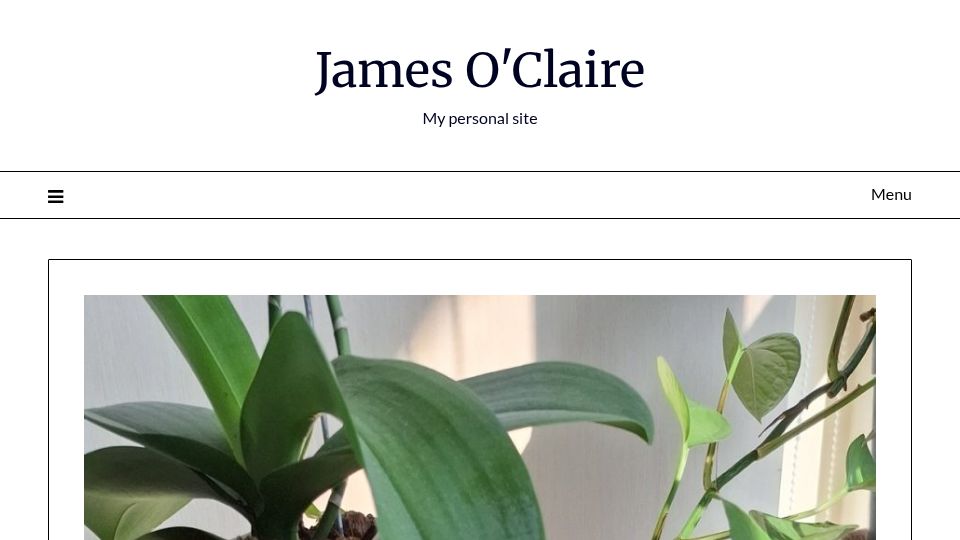 Screenshot of jamesoclaire.com: Self hosting 10TB in S3 on a framework laptop and disks