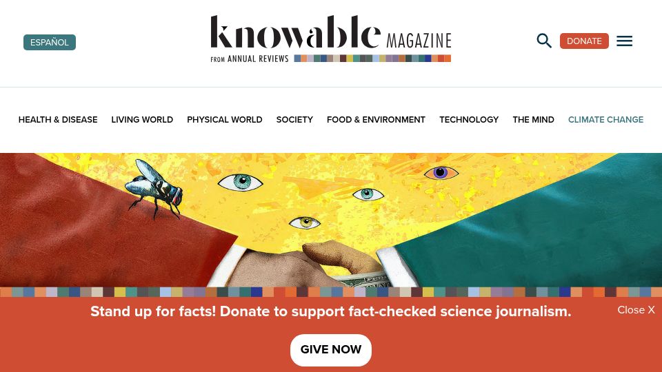 Screenshot of knowablemagazine.org: Corruption: When Norms Upstage the Law