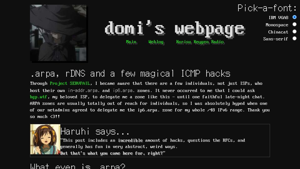 Screenshot of sdomi.pl: .arpa, rDNS and a few magical ICMP hacks