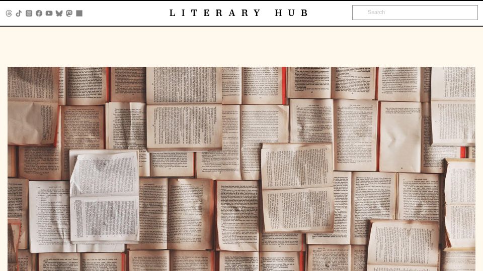 Screenshot of lithub.com: Ok Billionaire: Why Do the Opinions of 600 Americans Get So Much Airtime? (2019)