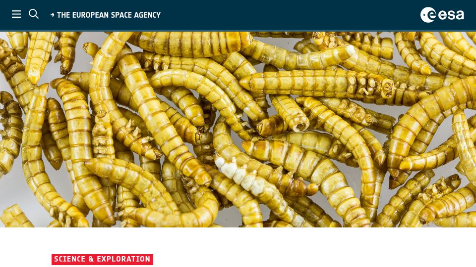 Screenshot of esa.int: Insects on the Space Menu
