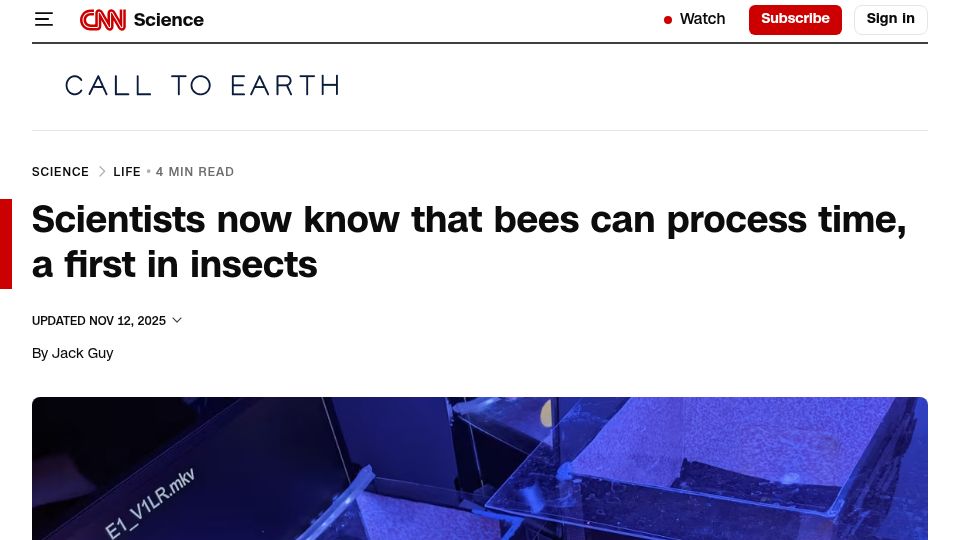 Screenshot of cnn.com: Scientists now know that bees can process time, a first in insects