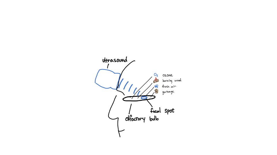 Screenshot of writetobrain.com: We Induced Smells With Ultrasound