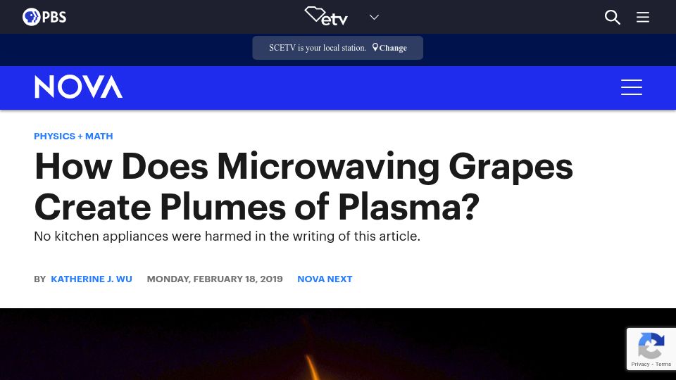Screenshot of pbs.org: How Does Microwaving Grapes Create Plumes of Plasma?