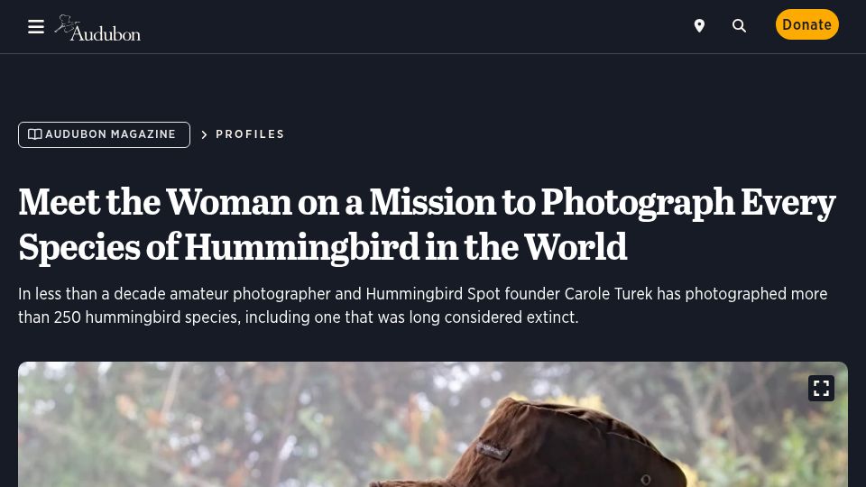 Screenshot of audubon.org: A woman on a mission to photograph every species of hummingbird