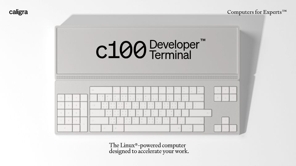 Screenshot of caligra.com: C100 Developer Terminal