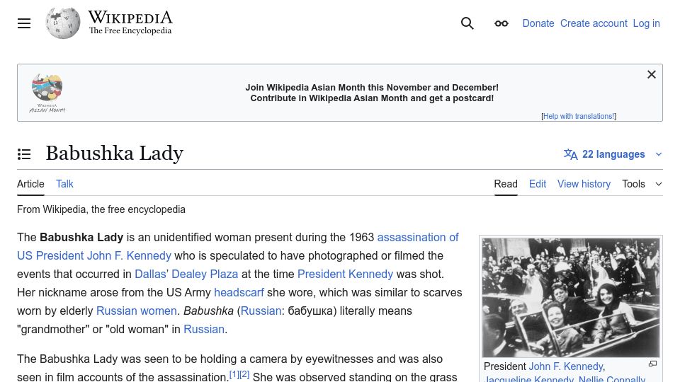 Screenshot of en.wikipedia.org: Babushka Lady