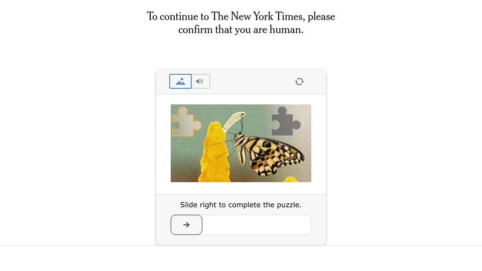 Screenshot of nytimes.com: How I talk to whales