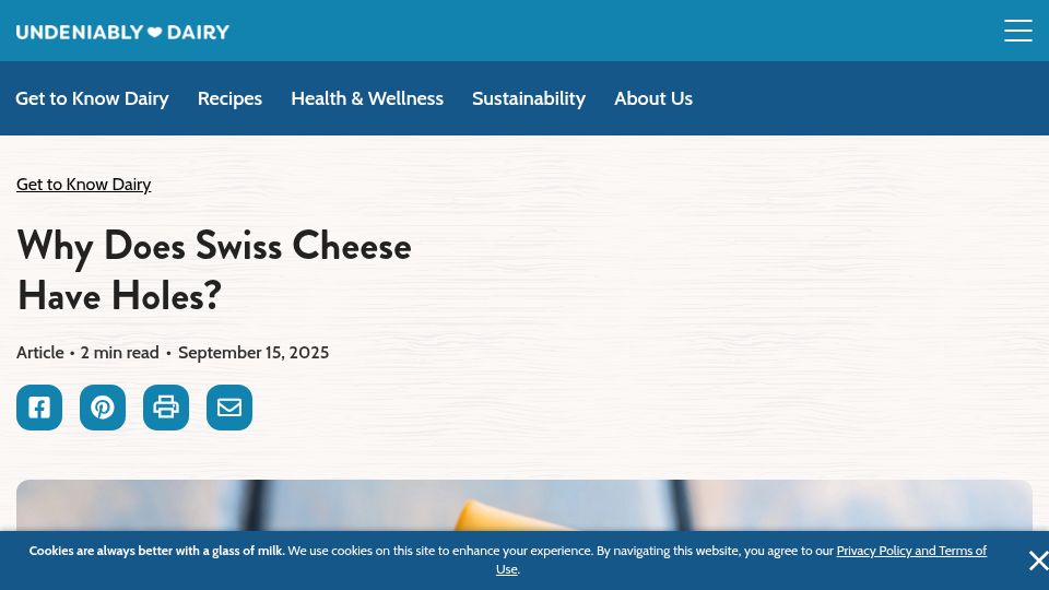 Screenshot of usdairy.com: Why does Swiss cheese have holes?
