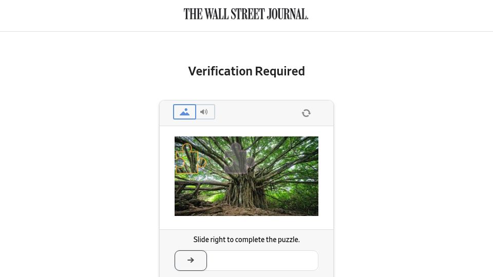 Screenshot of wsj.com: Economic Anger Once Again Punishes the Party in Power