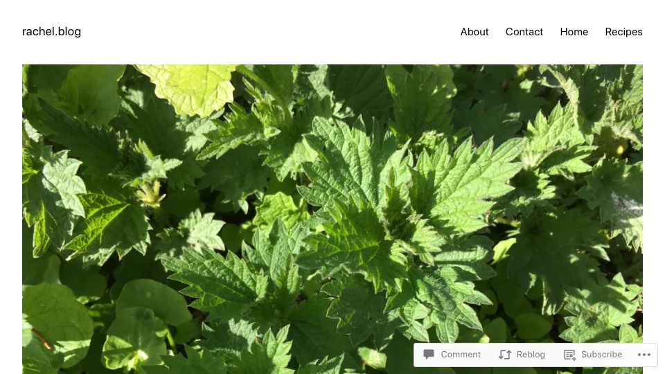 Screenshot of rachel.blog: Eating stinging nettles
