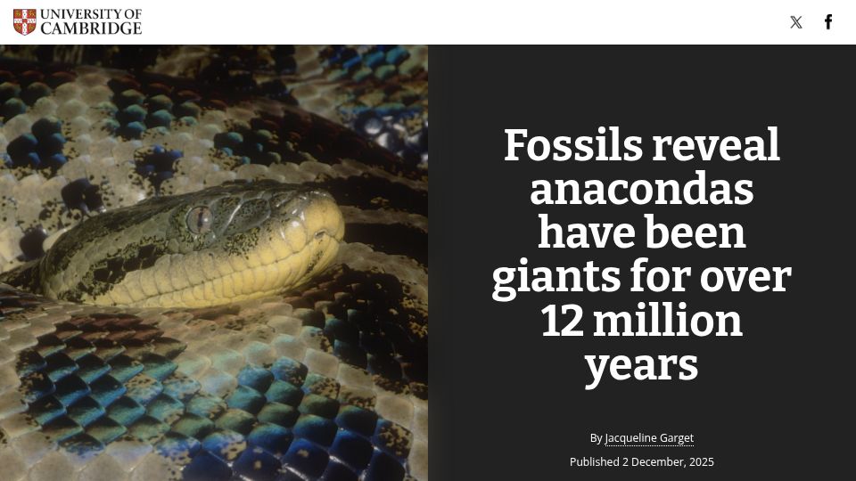 Screenshot of cam.ac.uk: Fossils reveal anacondas have been giants for over 12 million years