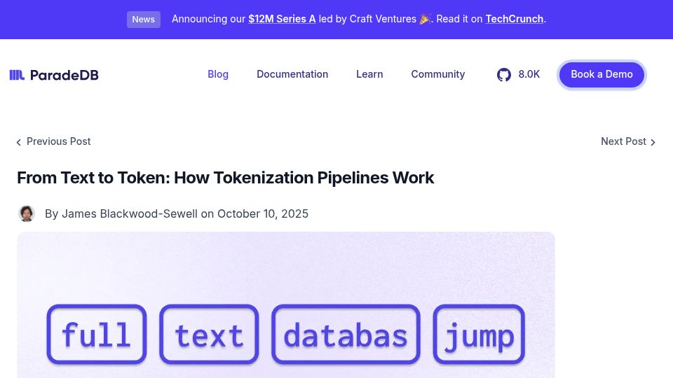Screenshot of paradedb.com: From text to token: How tokenization pipelines work
