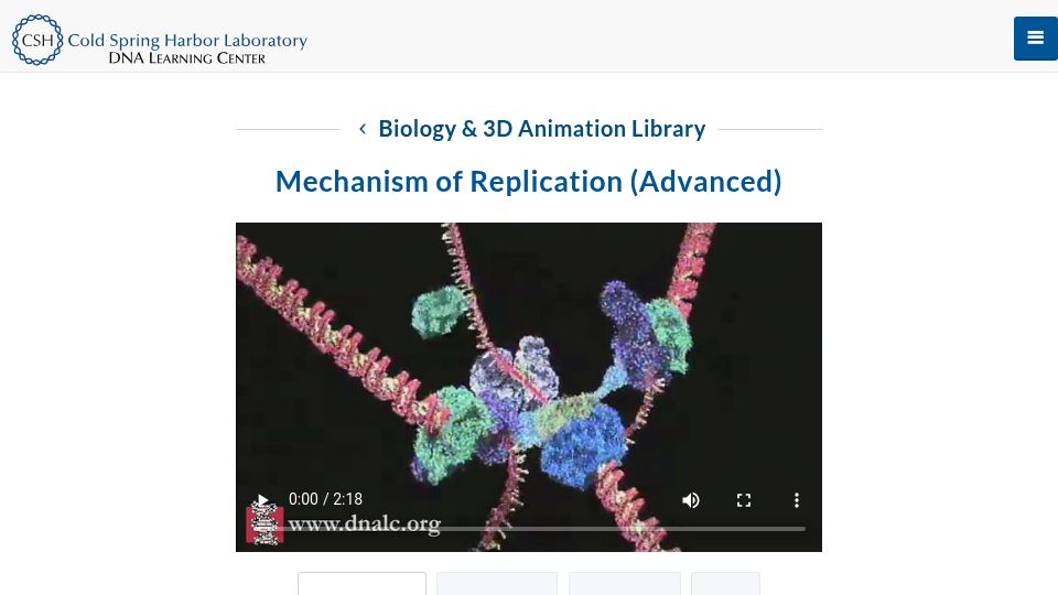 Screenshot of dnalc.cshl.edu: DNA Learning Center: Mechanism of Replication 3D Animation
