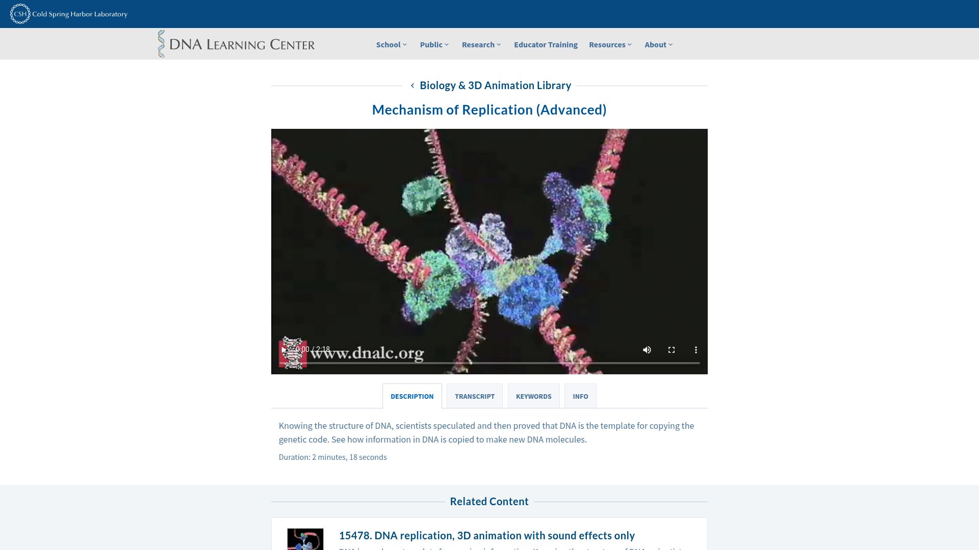 Screenshot of dnalc.cshl.edu: DNA Learning Center: Mechanism of Replication 3D Animation