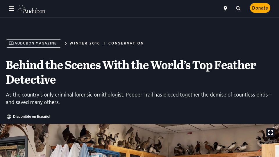 Screenshot of audubon.org: Feather Detective (2016)