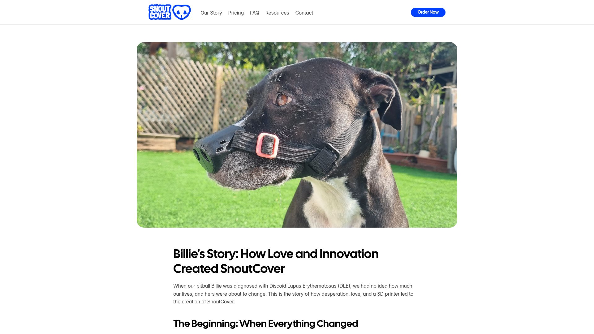 Screenshot of snoutcover.com: I designed and printed a custom nose guard to help my dog with DLE