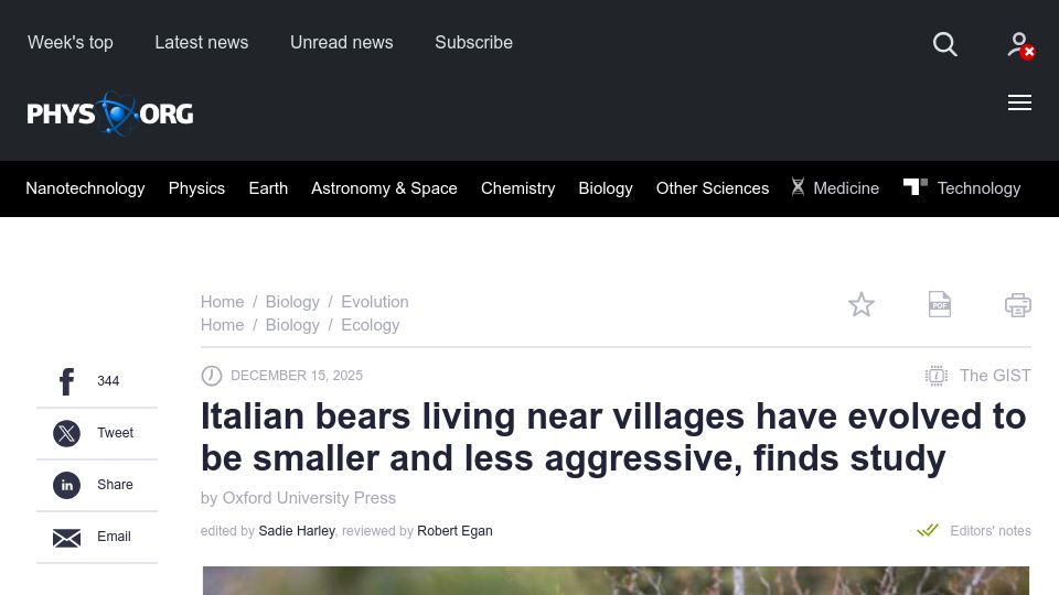 Screenshot of phys.org: Italian bears living near villages have evolved to be smaller and less agressive