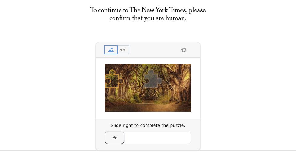 Screenshot of nytimes.com: How Did Doge Disrupt So Much While Saving So Little?