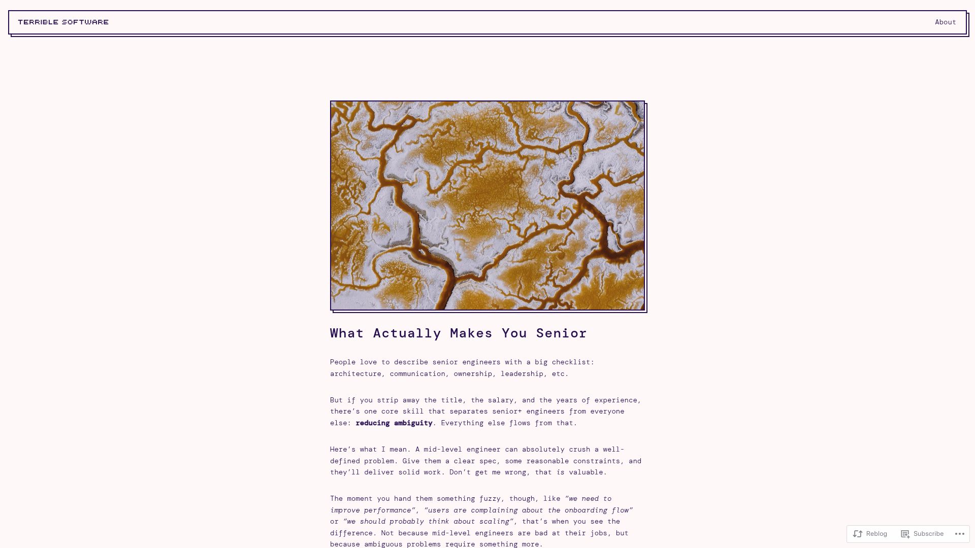 Screenshot of terriblesoftware.org: What makes you senior