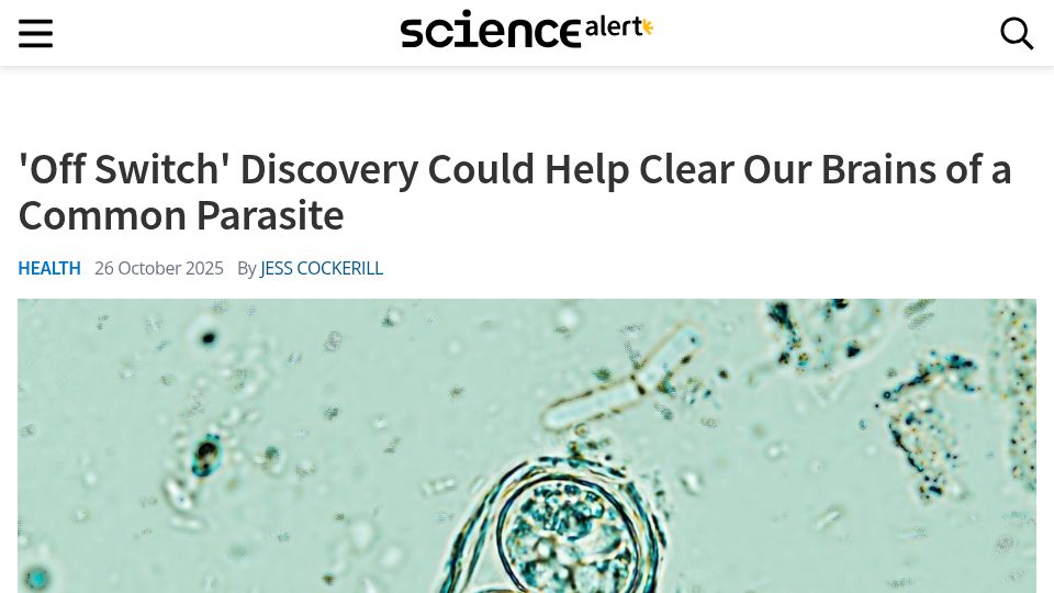 Screenshot of sciencealert.com: 'Off switch' discovery could help clear our brains of a common parasite