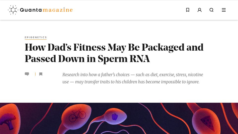 Screenshot of quantamagazine.org: Fathers’ choices may be packaged and passed down in sperm RNA
