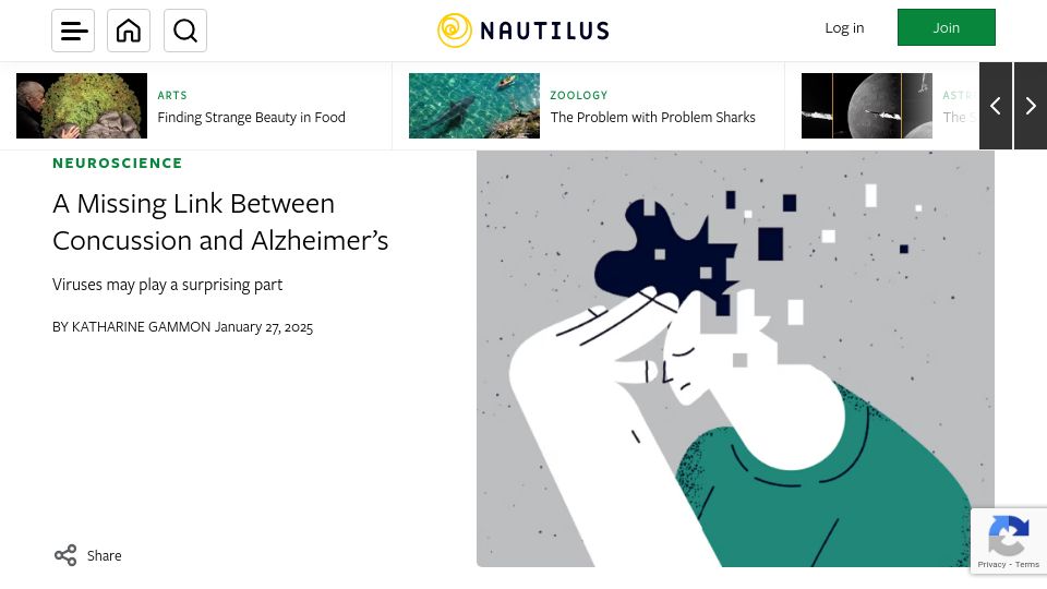 Screenshot of nautil.us: A Missing Link Between Concussion and Alzheimer's