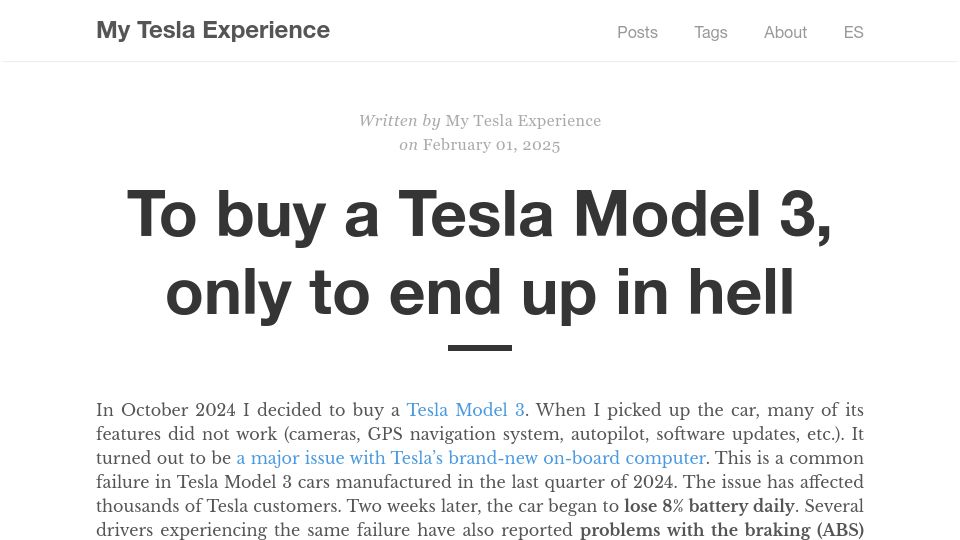 Screenshot of myteslaexperience.com: To buy a Tesla Model 3, only to end up in hell