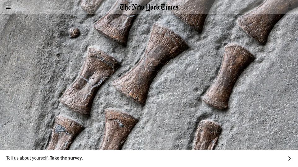 Screenshot of nytimes.com: Fossils Preserve Both Skin and Scales from an Ancient Sea Monster