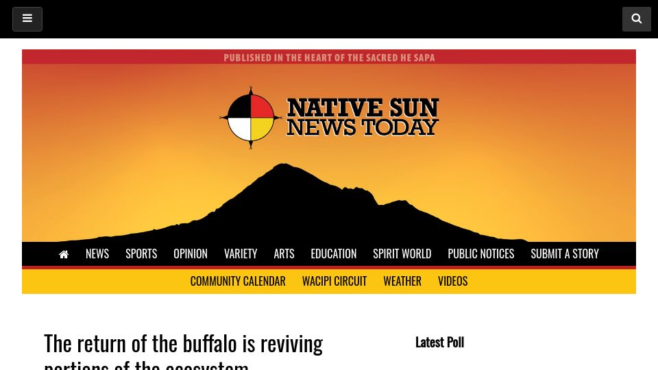 Screenshot of nativesunnews.today: The return of the buffalo is reviving portions of the ecosystem